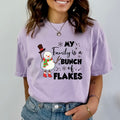 My Family Is A Bunch Of Flakes - Bella canvas