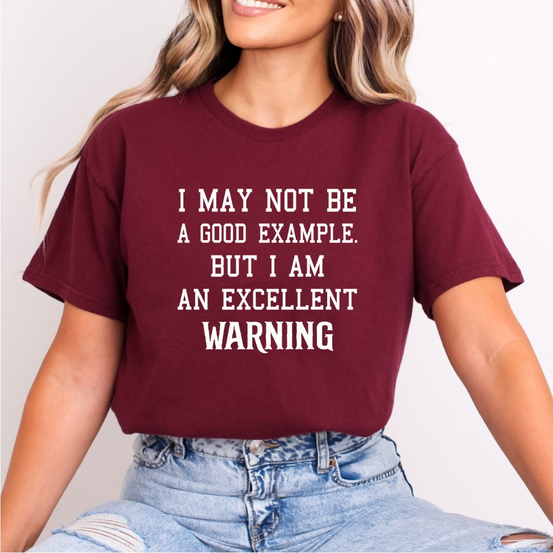 I Am Not Be A Good Example - Bella Canvas